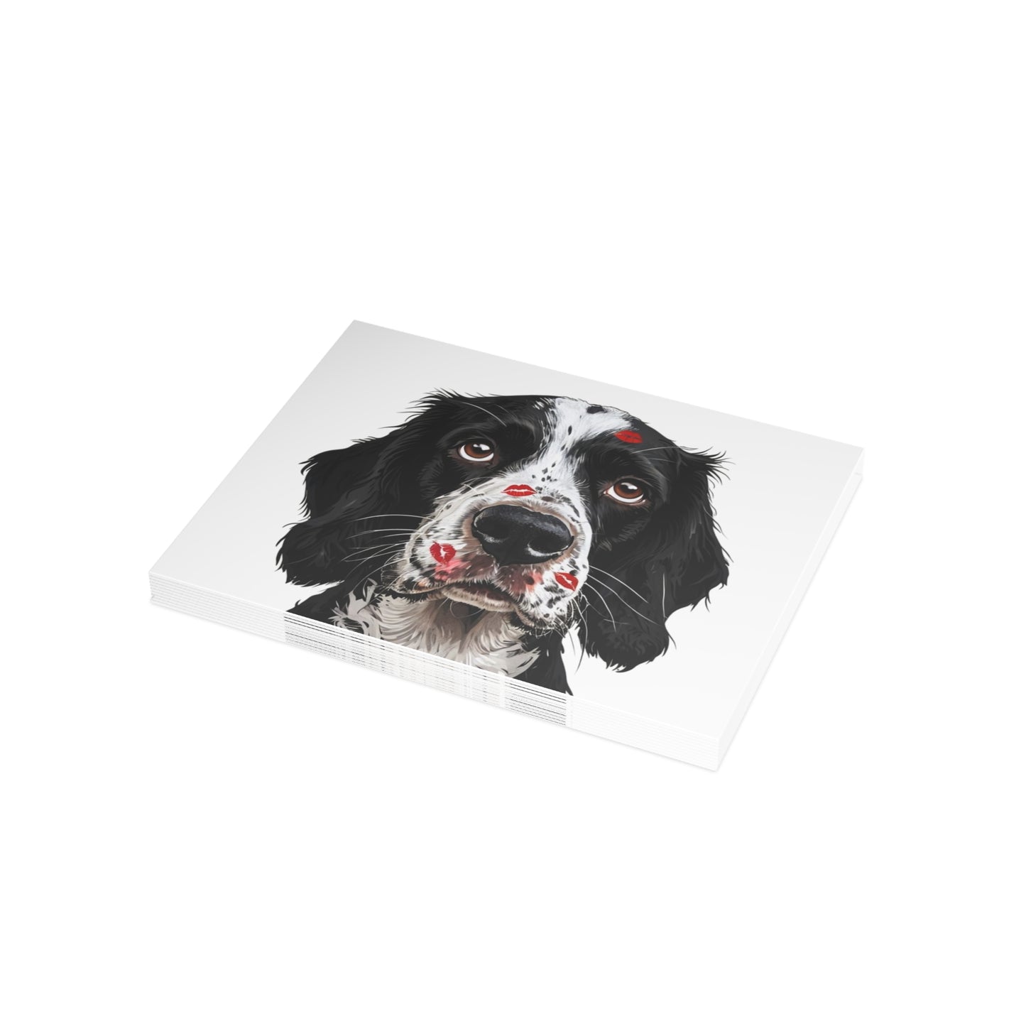 Springer Spaniel Love Postcard Bundles (envelopes included)