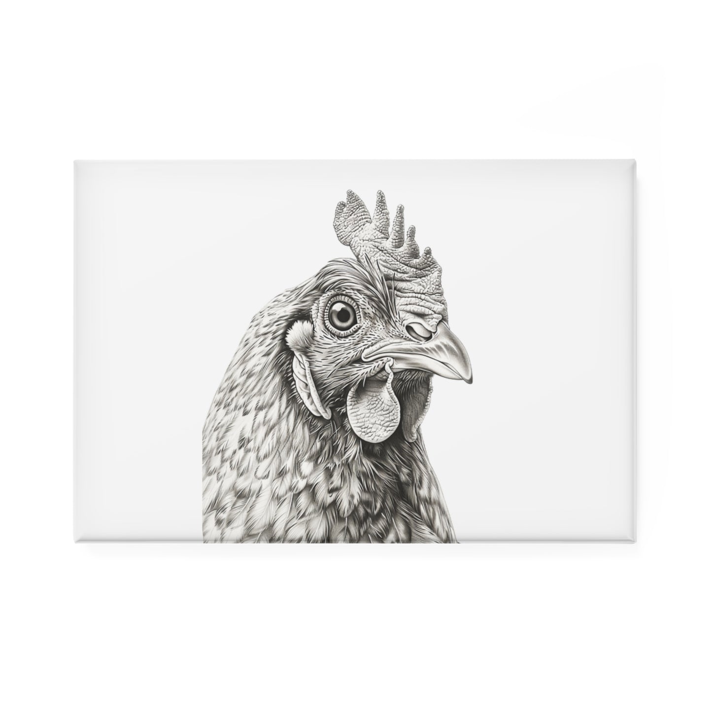 Chicken Head Sketch Rectangle Magnet — Farmhouse Kitchen Decor