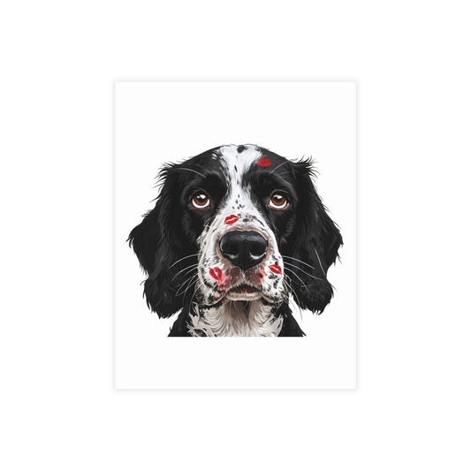 Springer Spaniel Love Postcard Bundles (envelopes included)