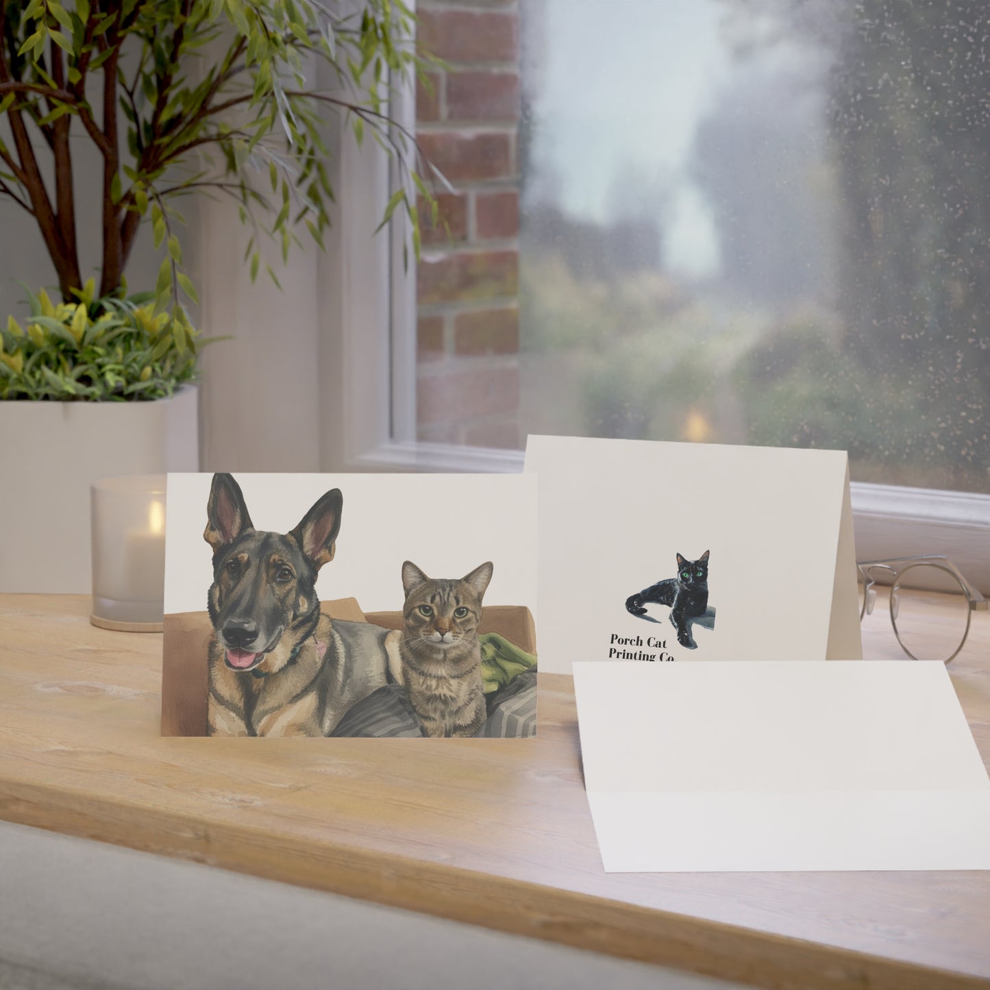 ‘Best of Friends’ Dog & Cat Greeting Cards | Pet Lover Notes (Pack of 1, 10, 30, 50)