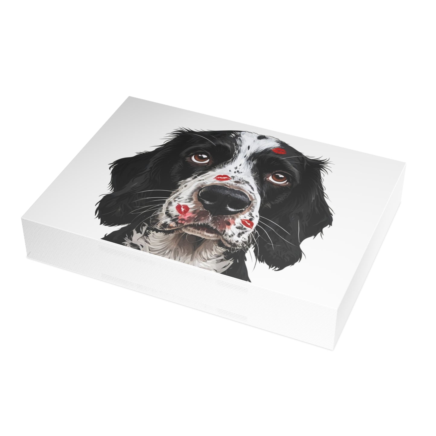 Springer Spaniel Love Postcard Bundles (envelopes included)