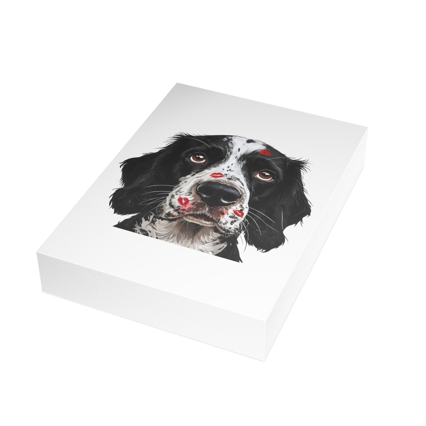 Springer Spaniel Love Postcard Bundles (envelopes included)