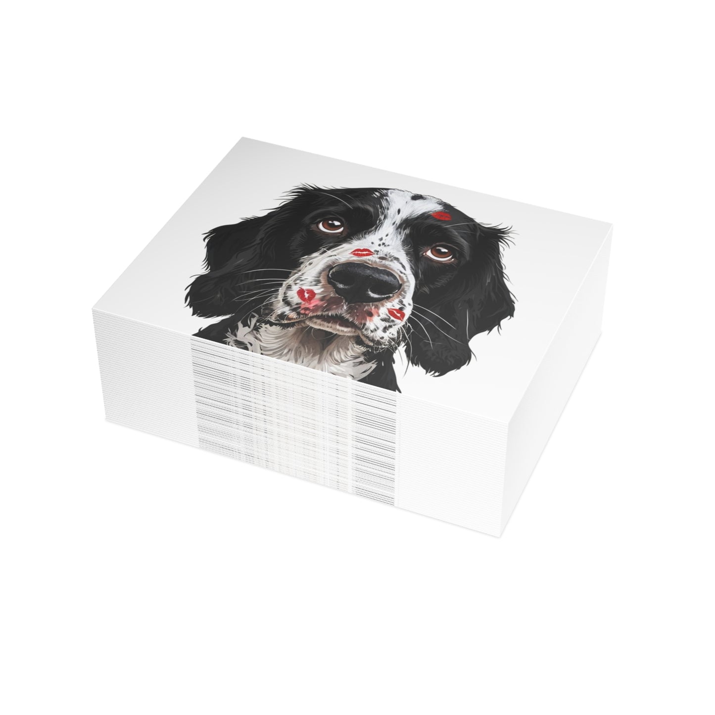 Springer Spaniel Love Postcard Bundles (envelopes included)