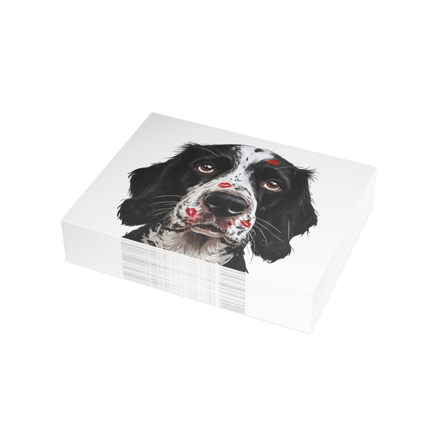 Springer Spaniel Love Postcard Bundles (envelopes included)
